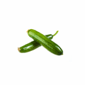 Cucumber