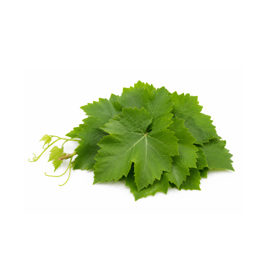 Fresh Grape Leaves